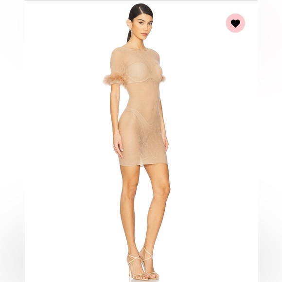 Poster Girl Vanderpool dress Gilded beige Elegant Sheer Dress with Feathers - Picture 2 of 5